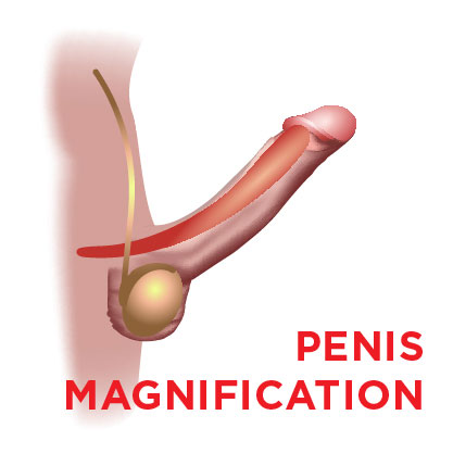 hastaliklar-penis-buyutme-en